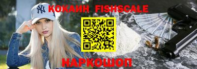 jwh Бийск