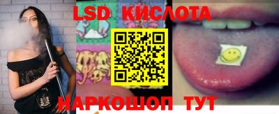 jwh Бийск